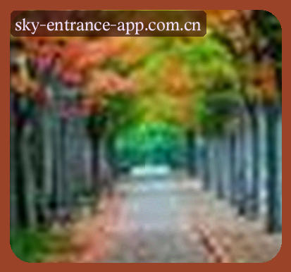 吴芳